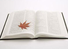 国际足球盛宴在欧洲继续升温